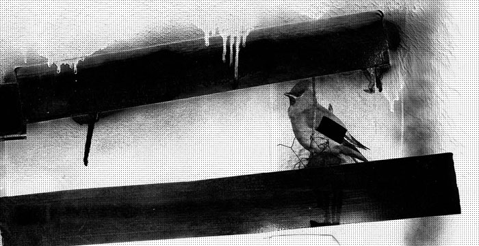Artikelheader_Alltag